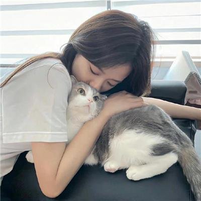 绯色战姬